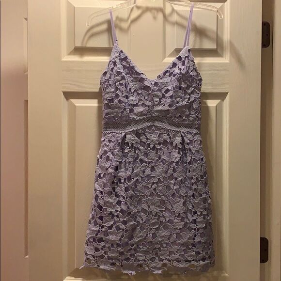 The Impeccable Pig Lavender Lace Overlay D… - Picture 1 of 6